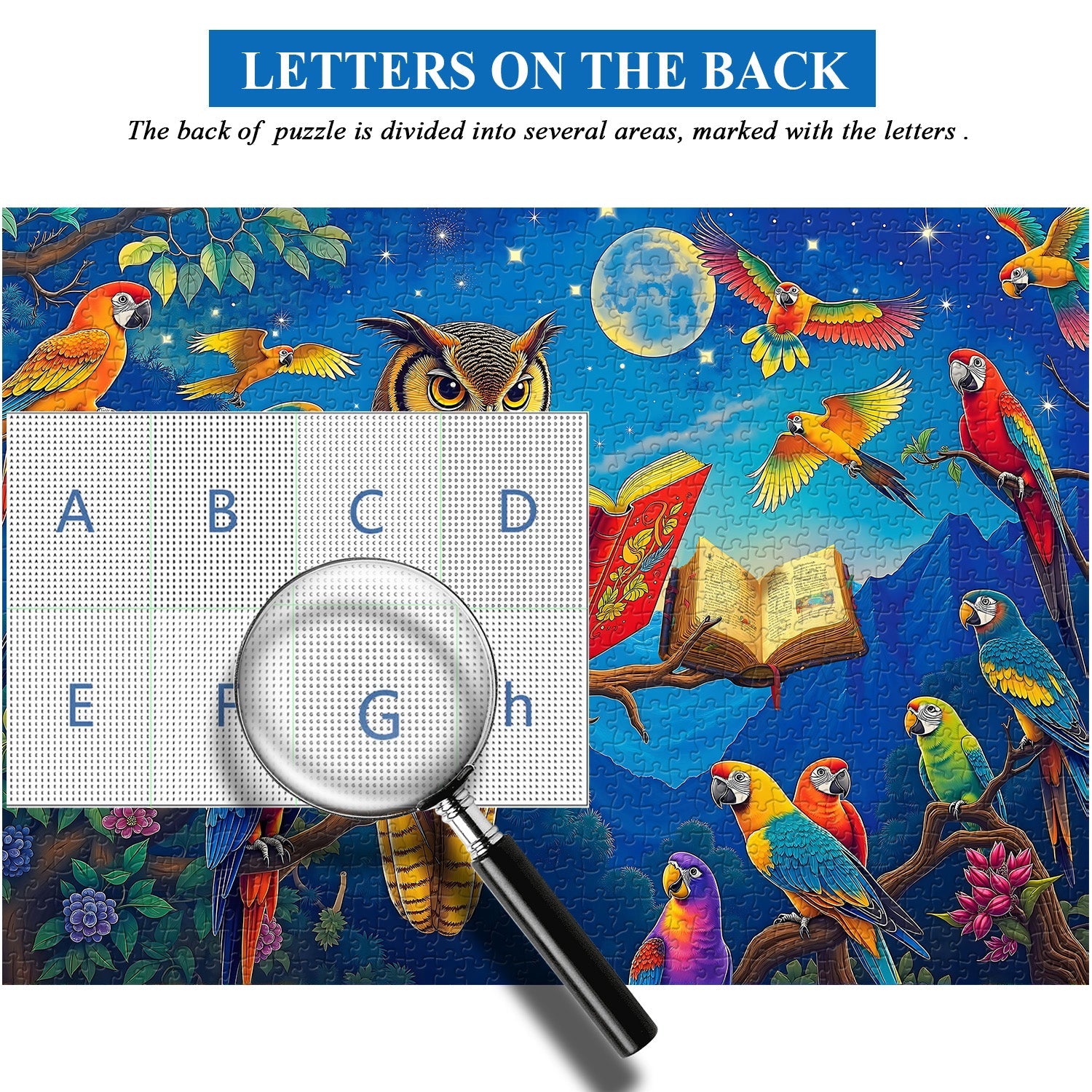 Night Owl & Parrot Storytime Jigsaw Puzzle 1000 Pieces