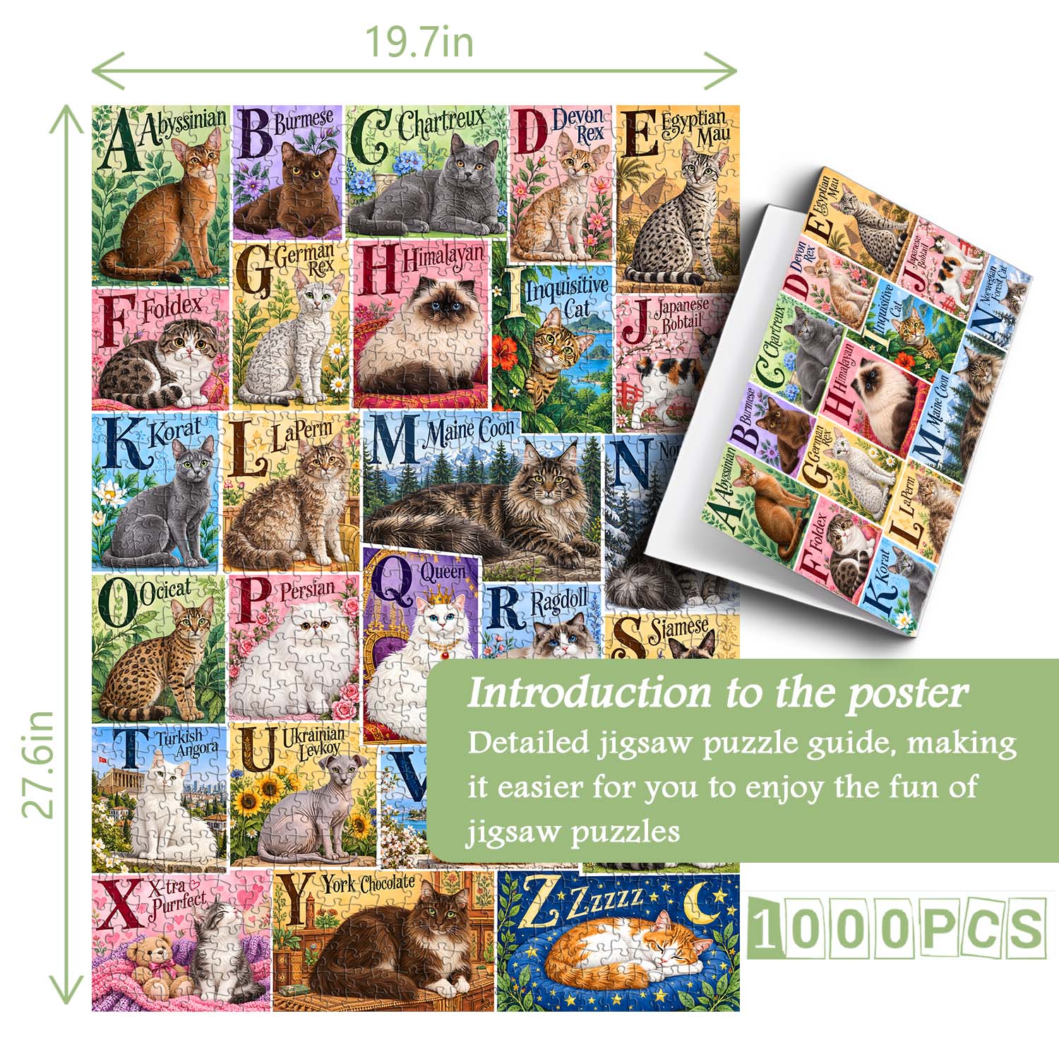 Alphabet Cats Jigsaw Puzzle 1000 Piece