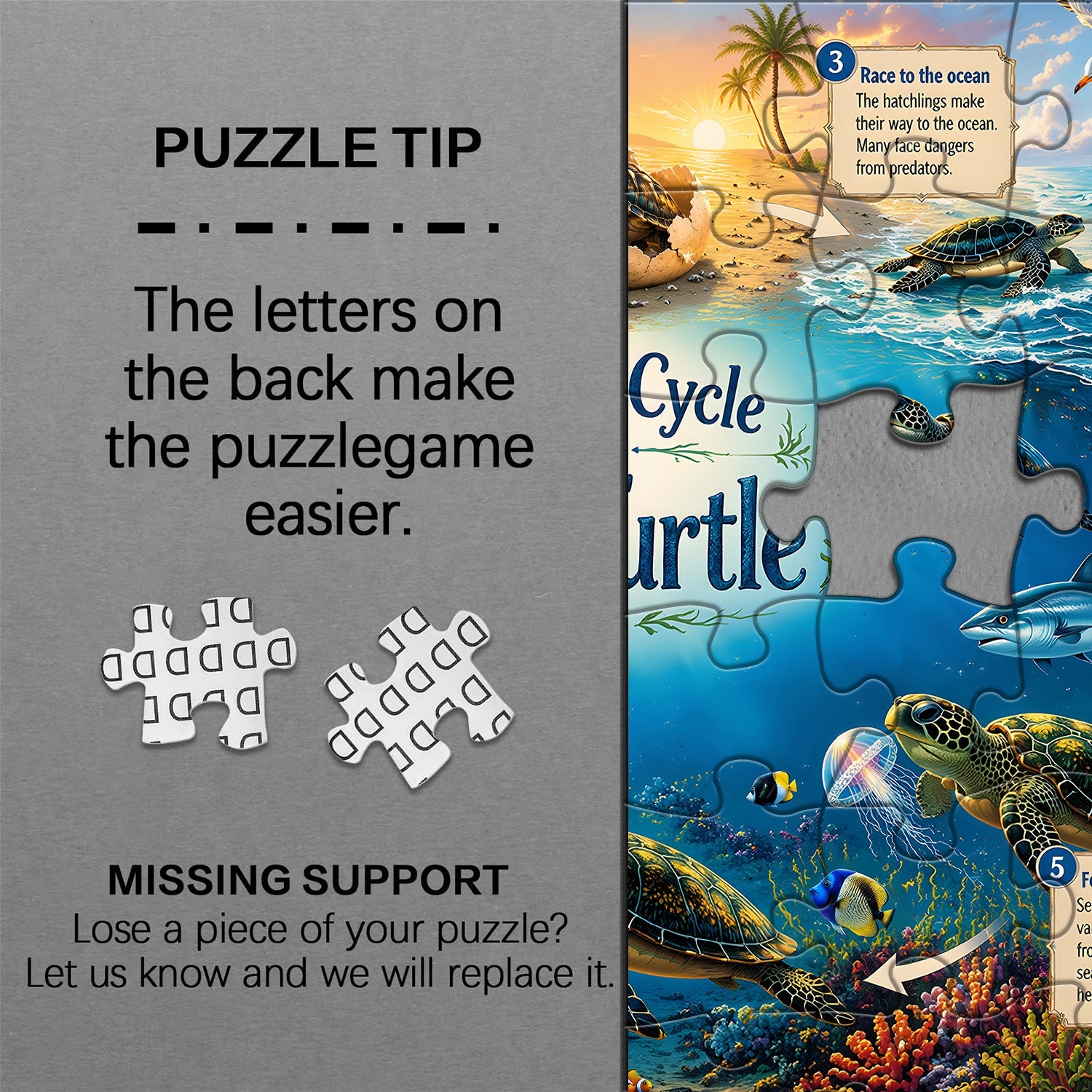 Sea Turtle Life Journey Jigsaw Puzzle 1000 Pieces