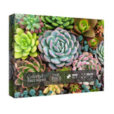 Colorful Succulents Jigsaw Puzzle 1000 Pieces