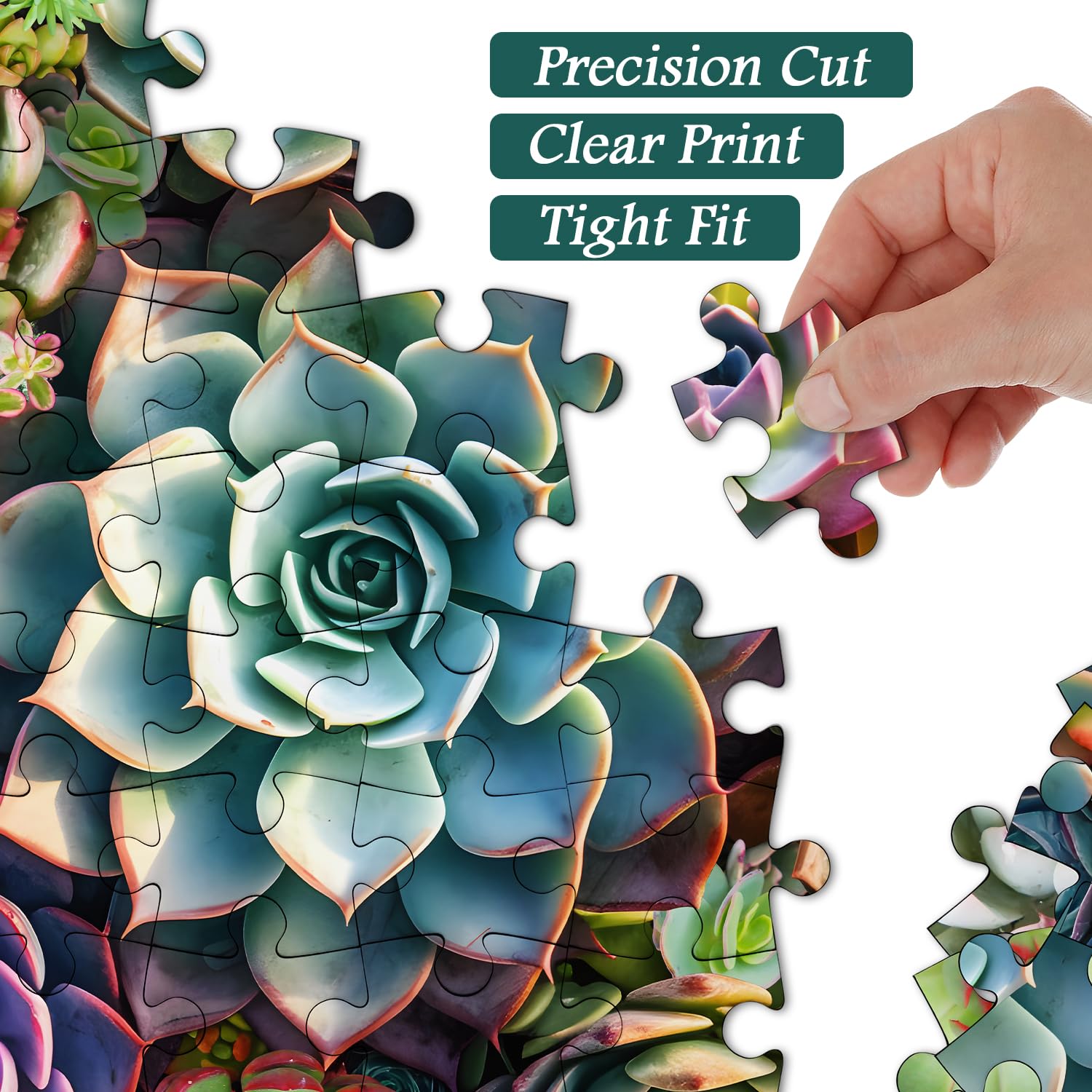 succulents 1000 piece puzzle Vintage Succulent Jigsaw Puzzle 1000 Pieces – Fun-Puzzle
