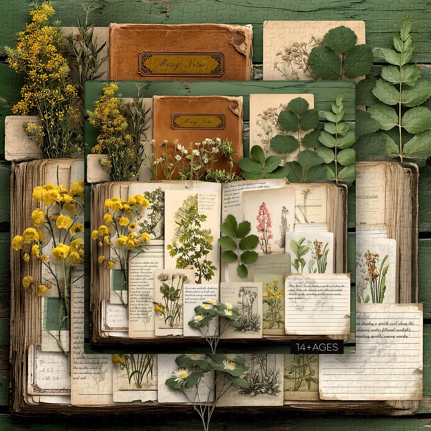 Vintage Botanical Diary Jigsaw Puzzle 1000 Pieces