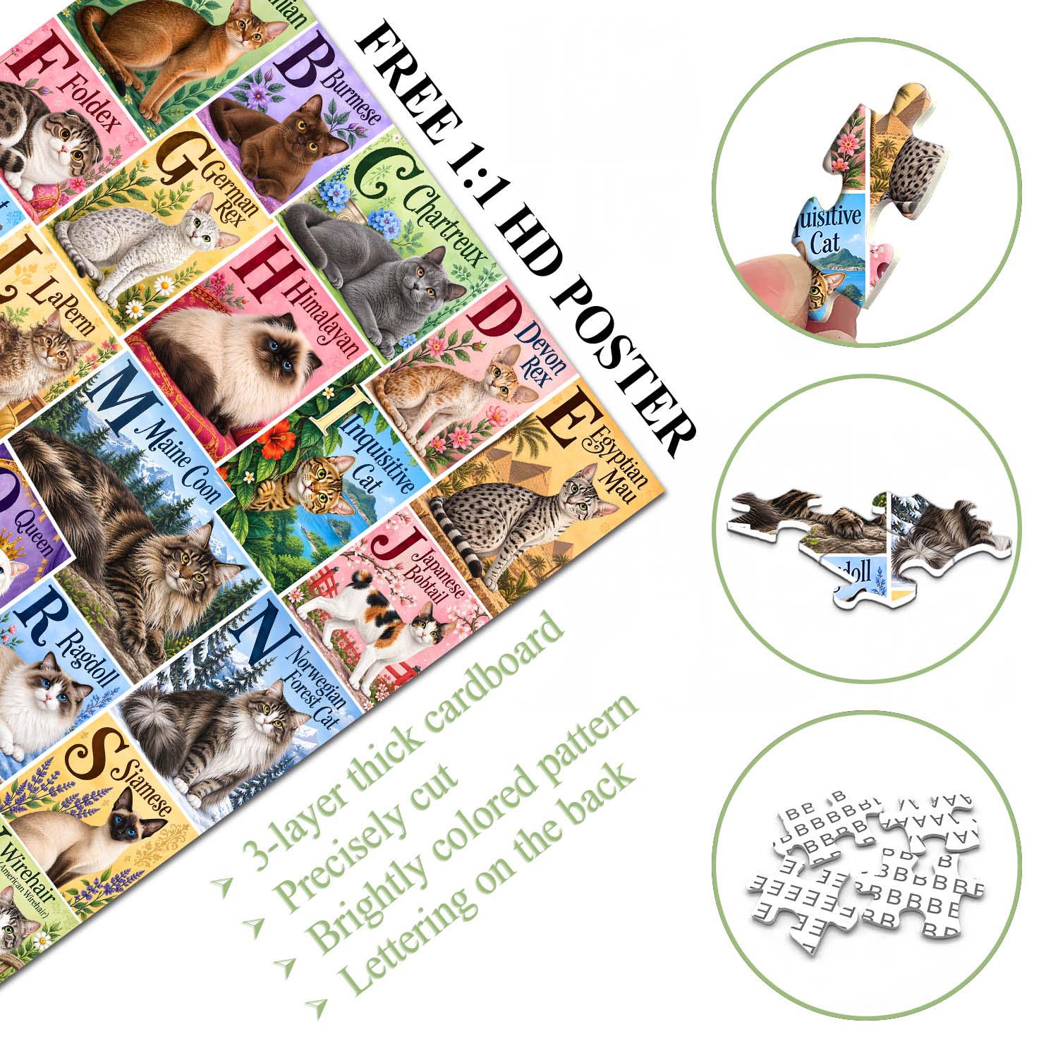 Alphabet Cats Jigsaw Puzzle 1000 Piece