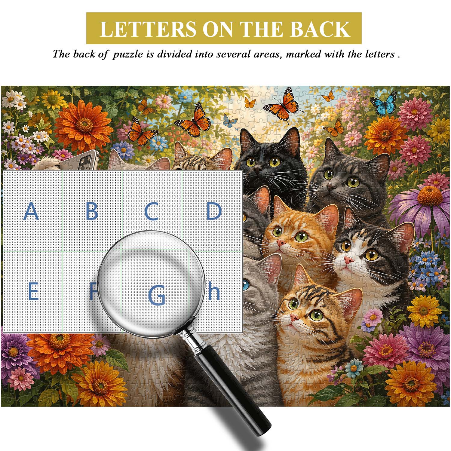Kitty Group Shot Jigsaw Puzzle 1000 Piece