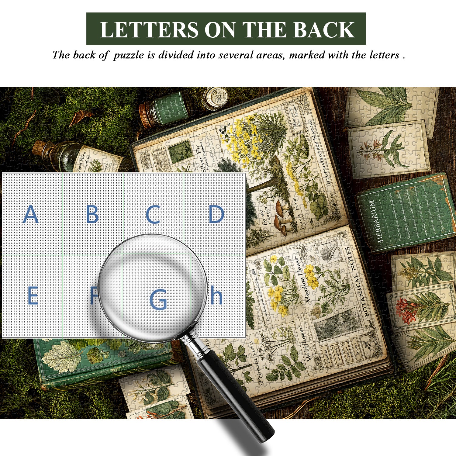 Plant Guide Jigsaw Puzzle 1000 Pieces