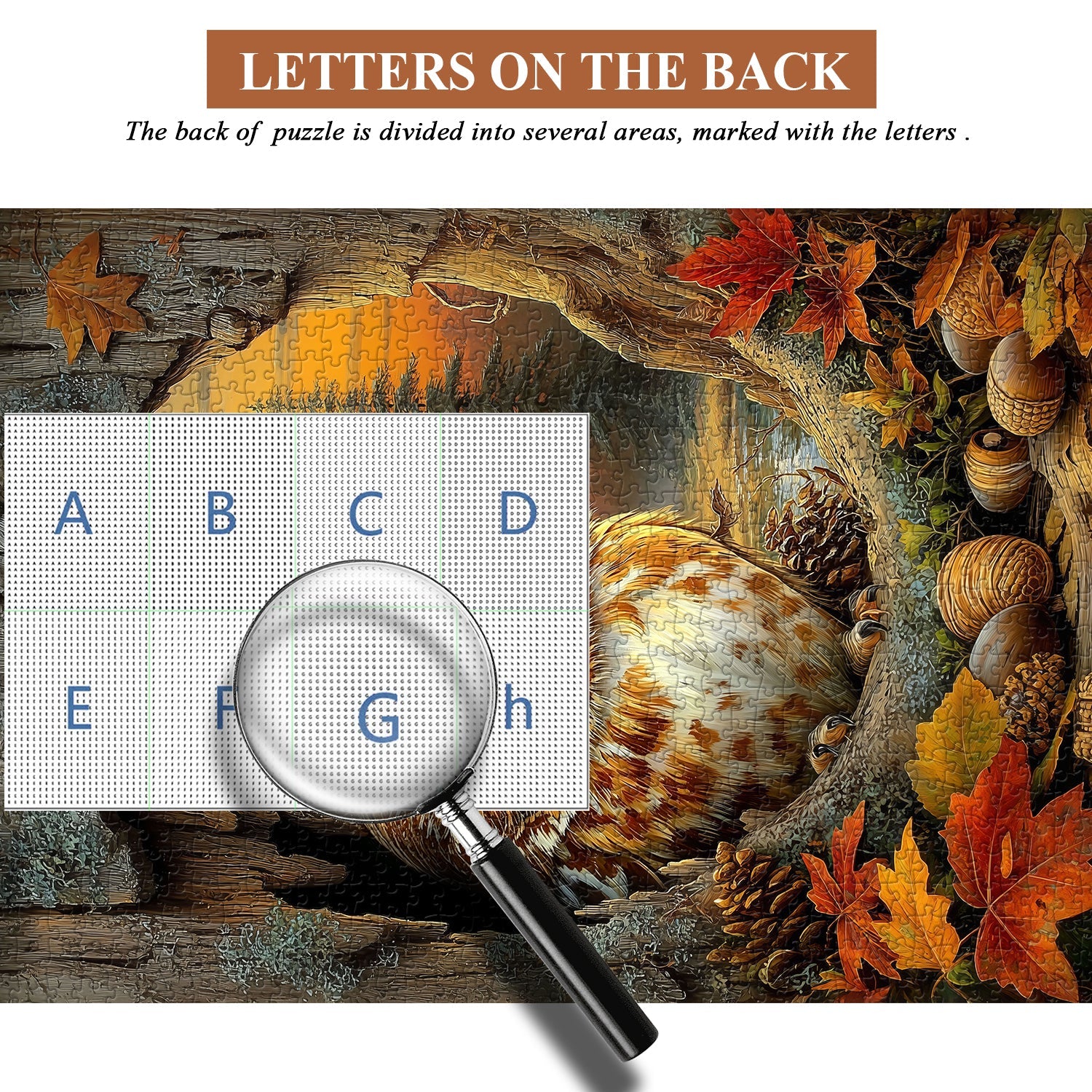 Autumn Glow Jigsaw Puzzle 1000 Pieces