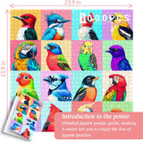 Brilliant Birds Jigsaw Puzzle 1000 Pieces