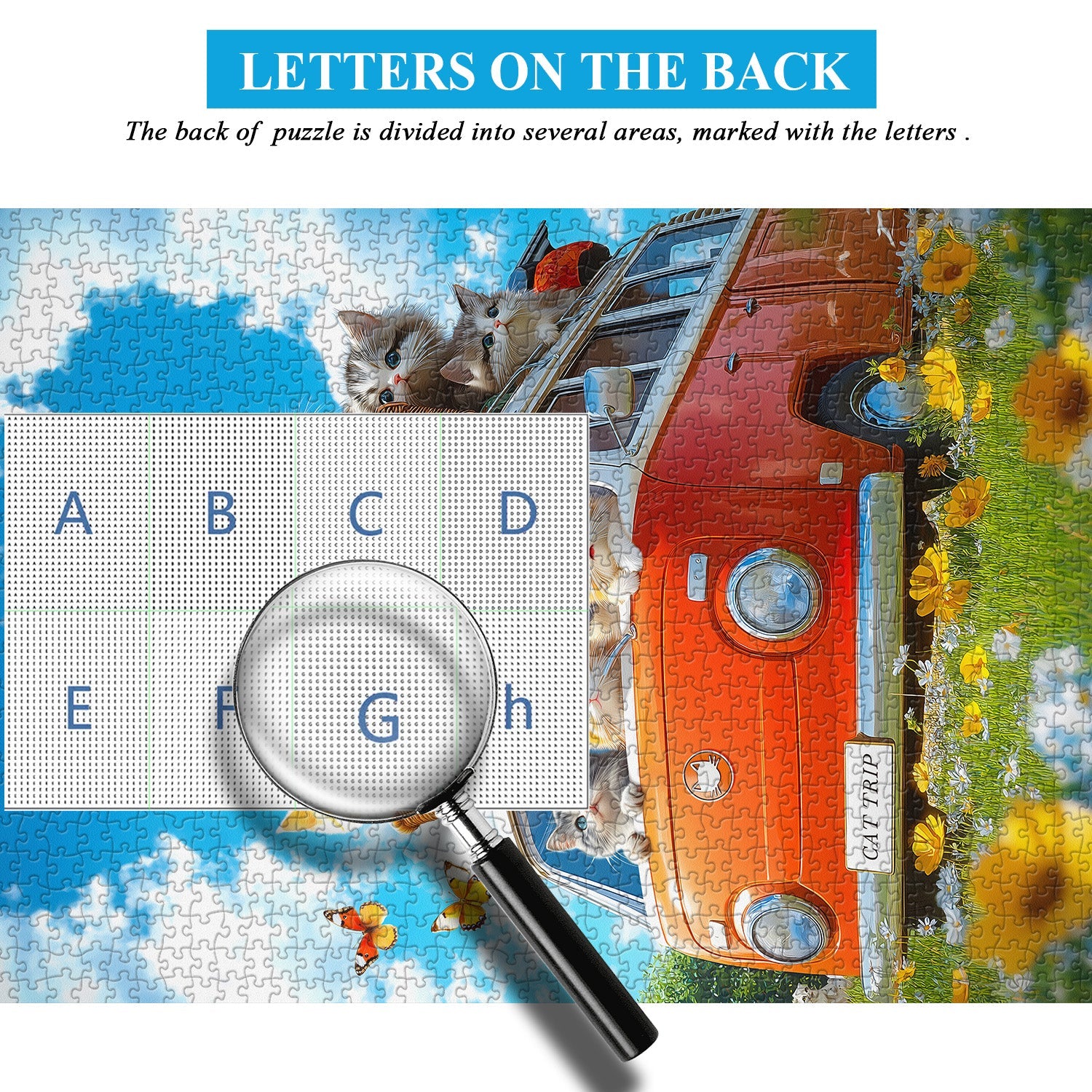 Puzzle 1000 Pièces — Chat en Balade au Soleil