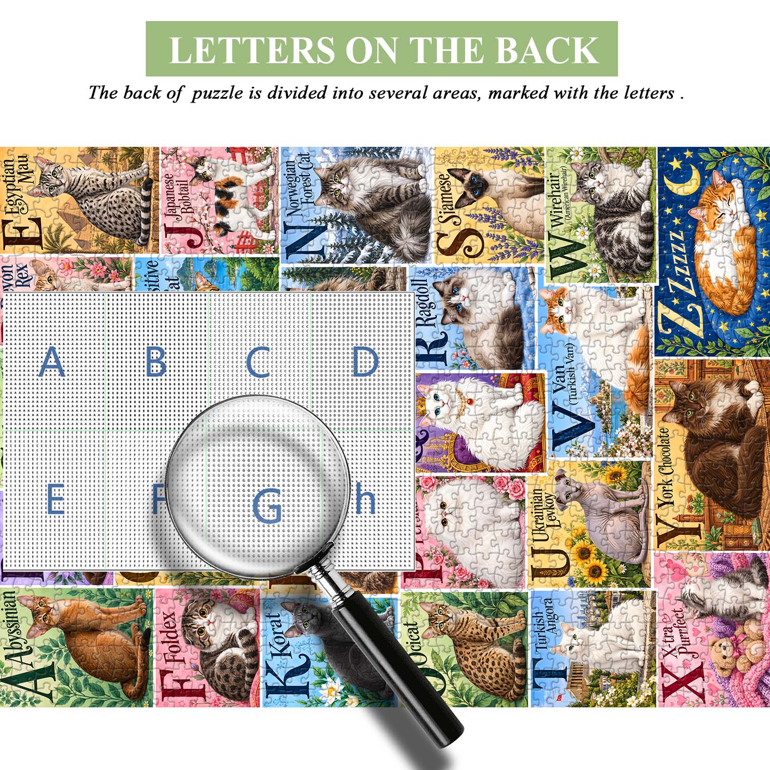Alphabet Cats Jigsaw Puzzle 1000 Piece