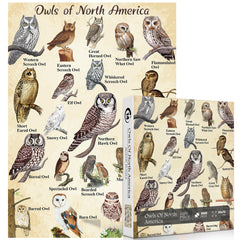 Vintage Puzzle „Die nordamerikanische Eule“ 1000 Teile