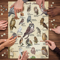 Vintage Puzzle „Die nordamerikanische Eule“ 1000 Teile