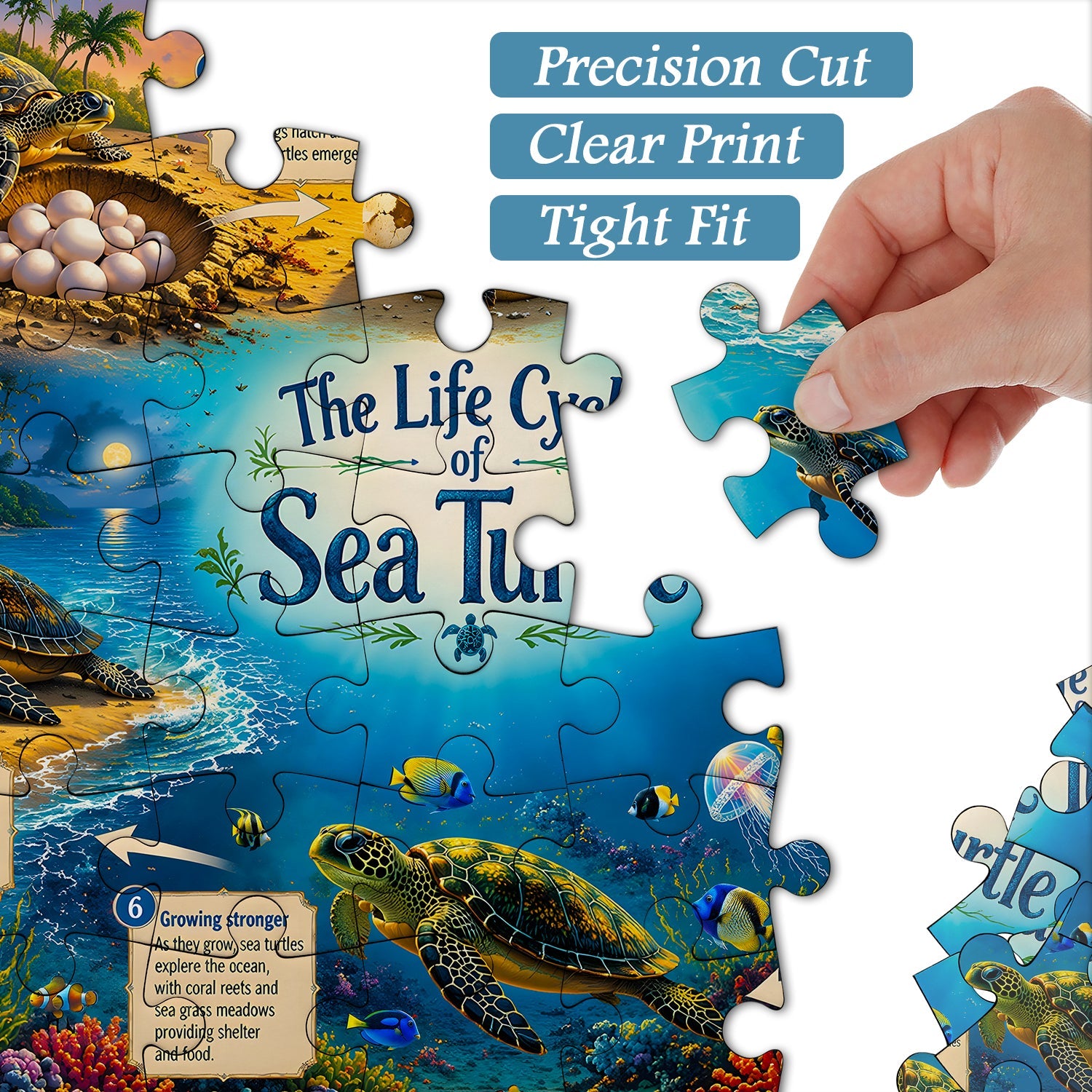 Sea Turtle Life Journey Jigsaw Puzzle 1000 Pieces