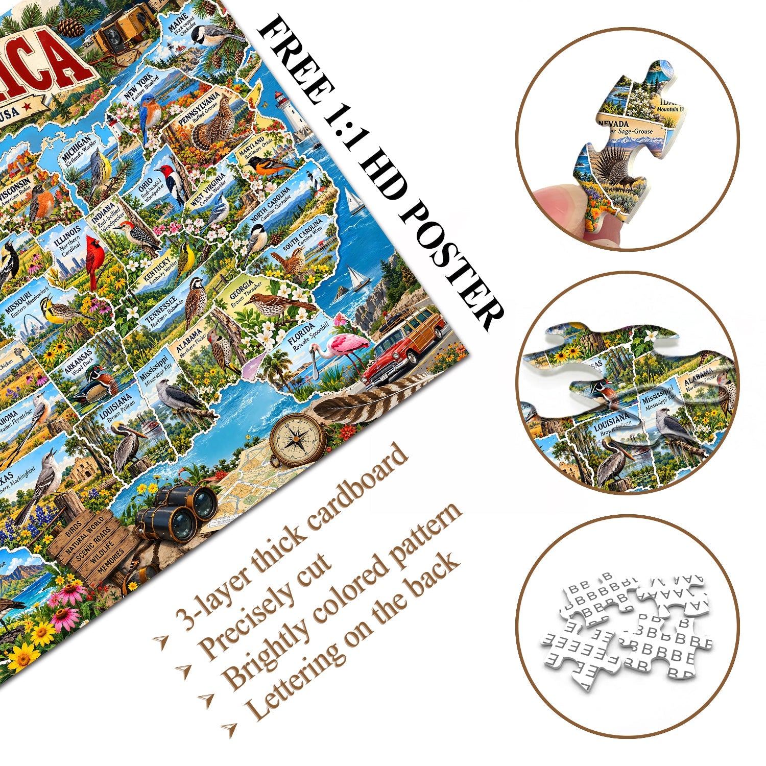 Birds of America Jigsaw Puzzle 1000 Pieces