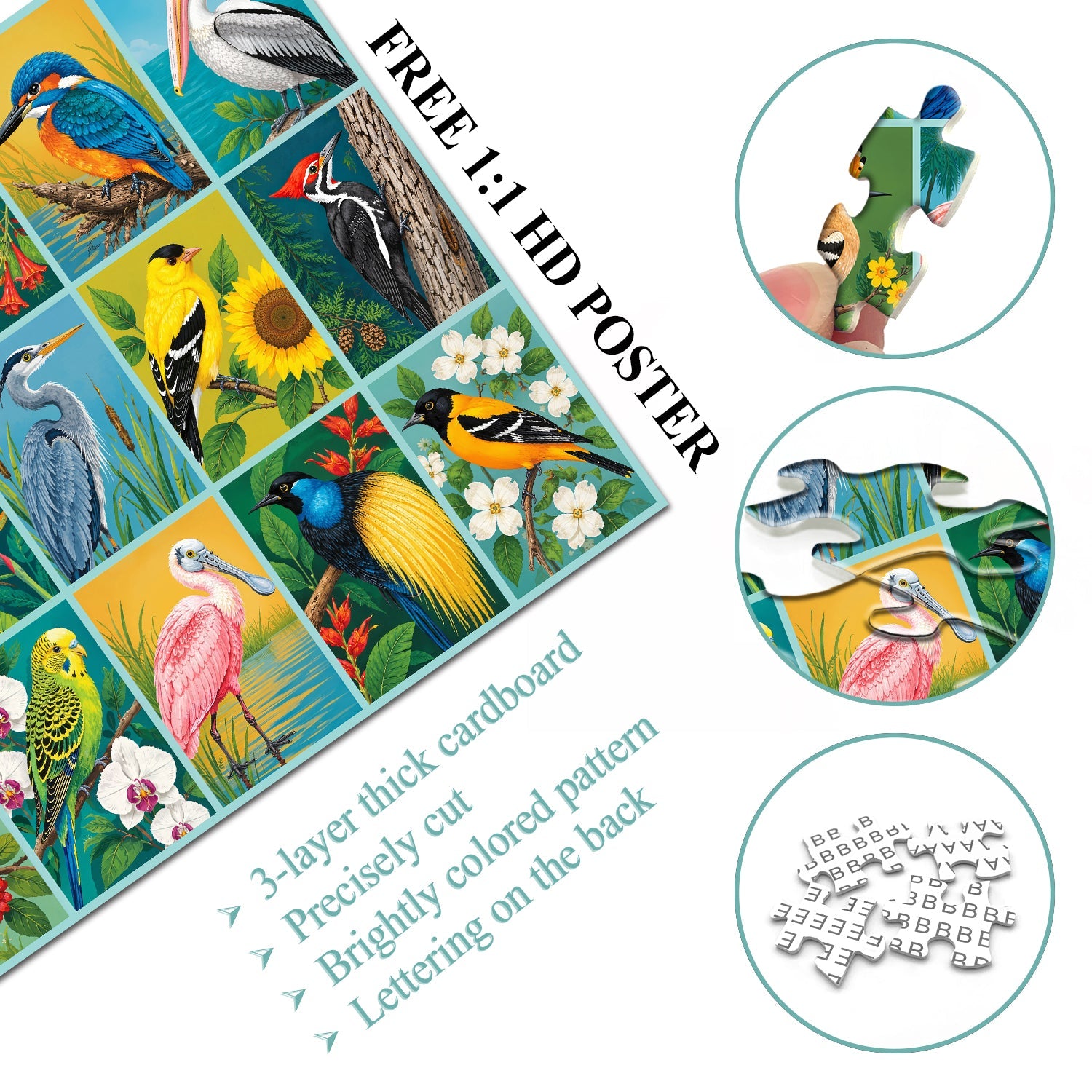 Bird Gallery Jigsaw Puzzle 1000 Piece