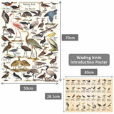 Vintage Wading Bird Jigsaw Puzzle 1000 Pieces